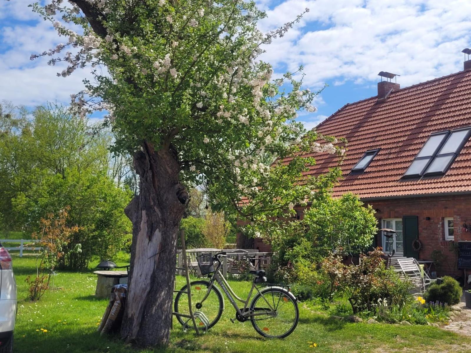 Seminar Und Landhaus Schoenbeck Schonbeck  Eksteriør billede