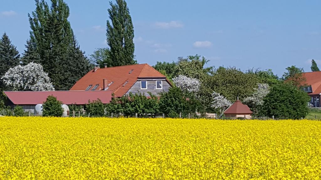 Seminar Und Landhaus Schoenbeck Schonbeck  Eksteriør billede